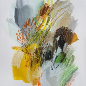 14 Flowers or Explosions series