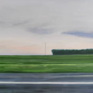 Stripes 9